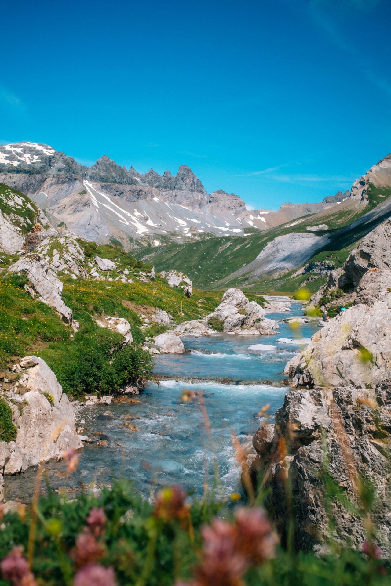 Die Natur auf dem Segnesboden.