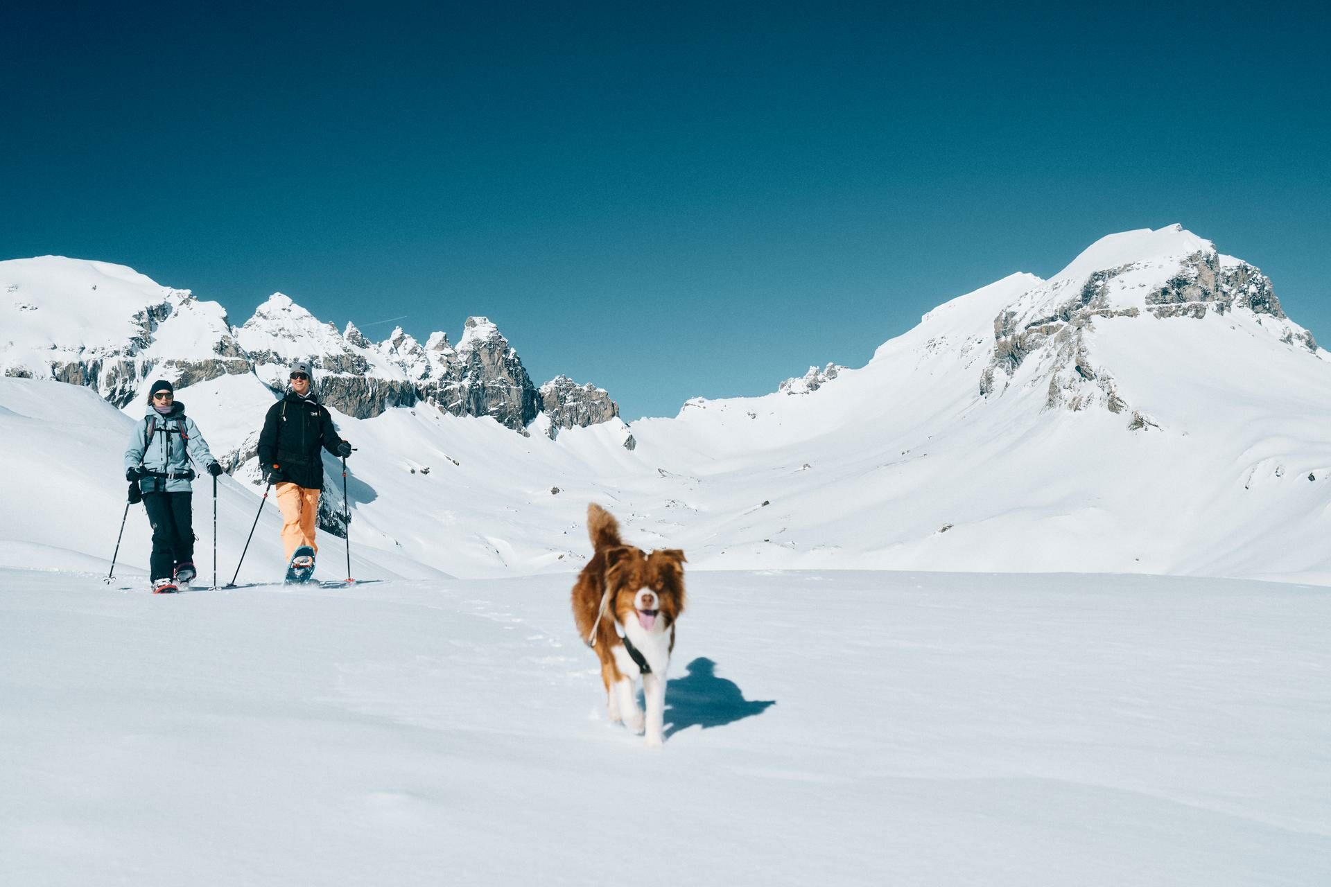 Winter Aktivitäten wie Skitouren & Schneeschuhlaufen auf dem Segnesboden.